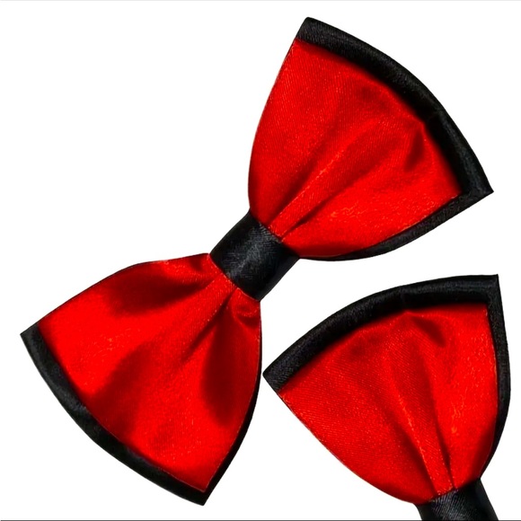 Double Layered Bow Tie - Picture 1 of 9